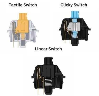 cac-loai-switch-ban-phim-co